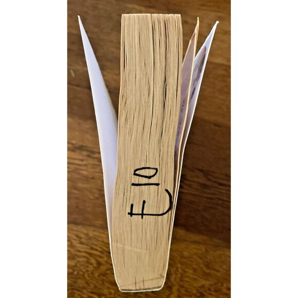 Beverly Lewis books Abram's Daughters 3 + 4 Paperbacks - Picture 4 of 9